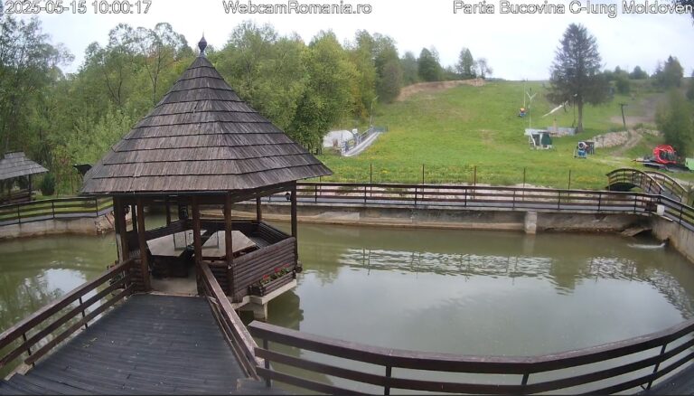 Webcam Partia Bucovina