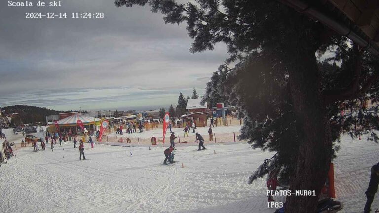 Webcam Partia Platos Scoala de Schi Paltinis Arena