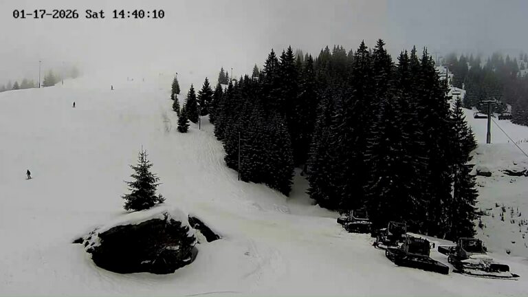 Webcam Telegondola Partia Azuga - Live Schi, Vreme și Zăpadă