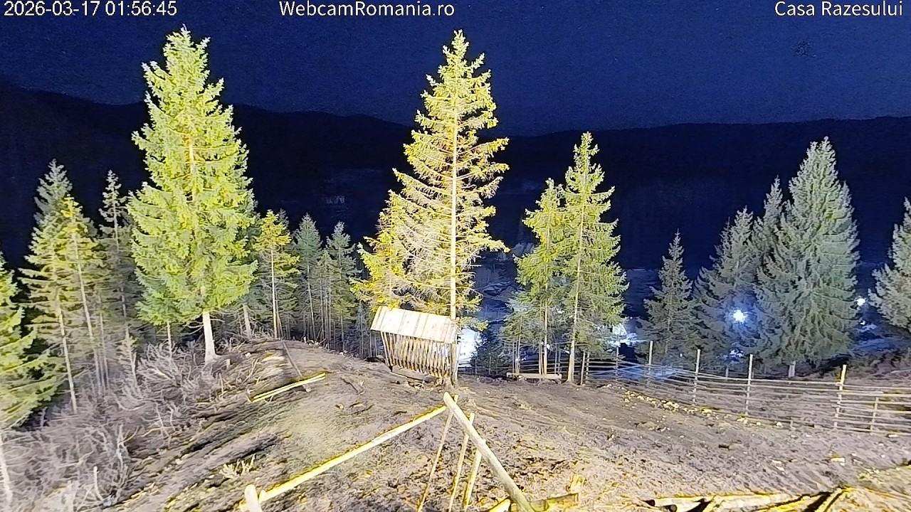 Webcam Casa Razesului – Hranitoare cerbi