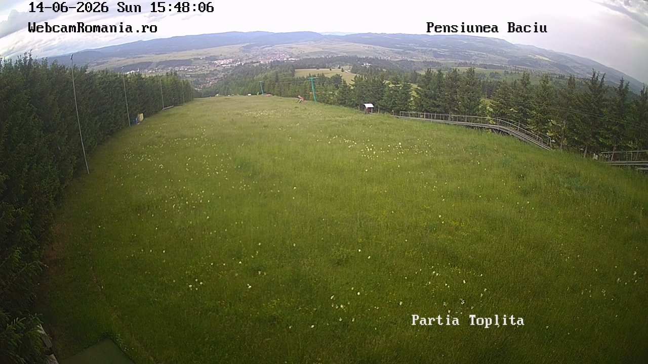 Webcam Partia Bradul Toplita