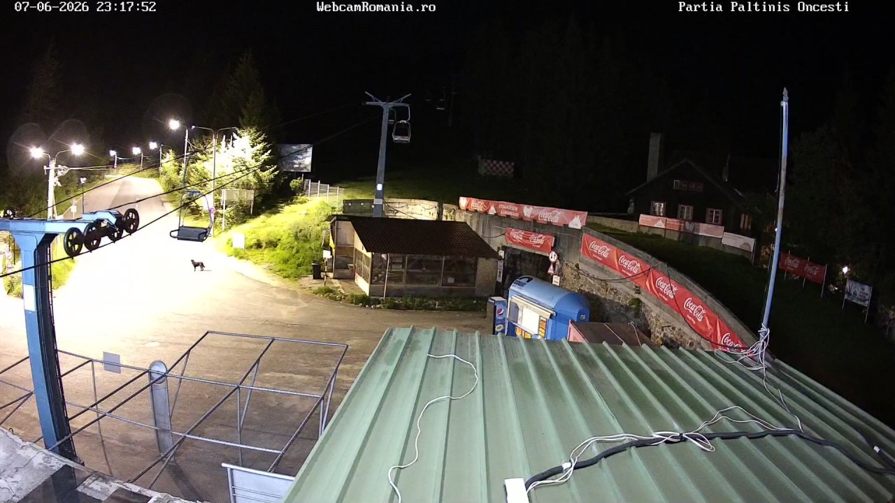 Webcam Partia Telescaun Paltinis