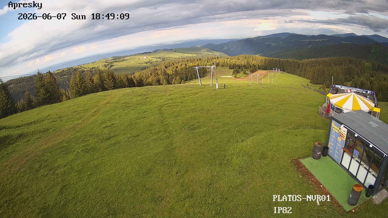 Webcam Partia Arena Platos Paltinis