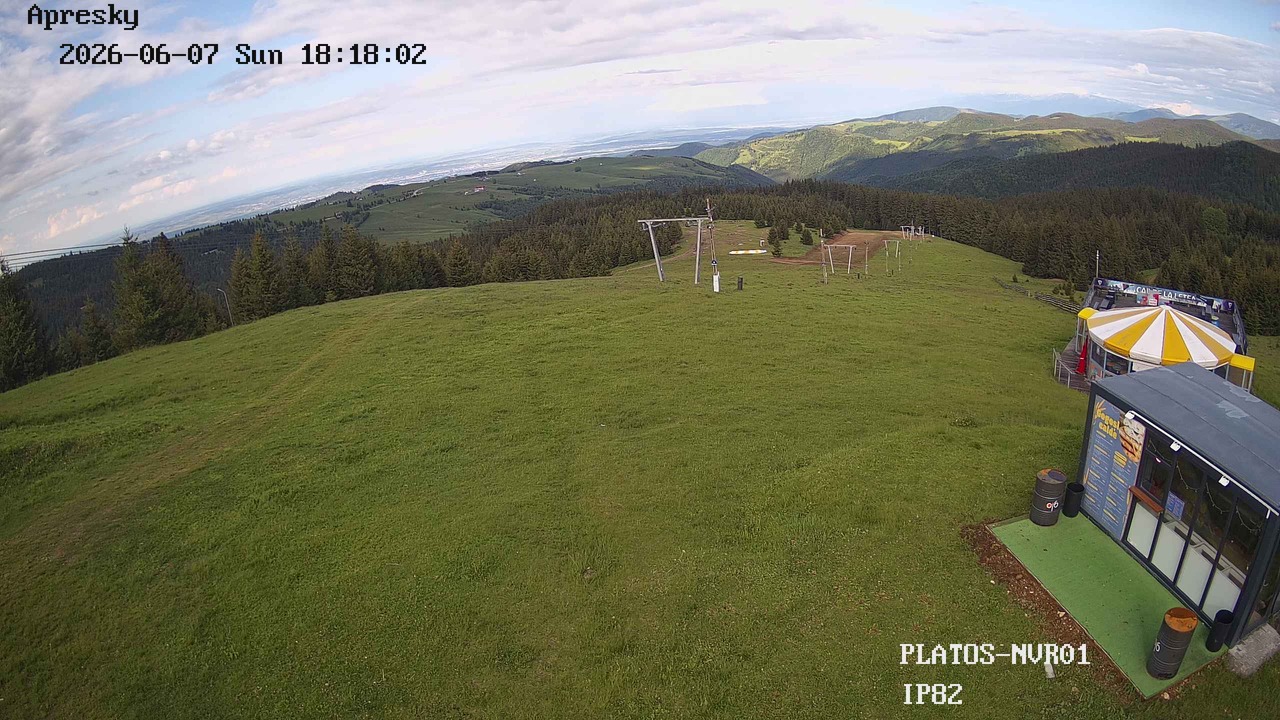Webcam Partia Soarelui Paltinis Arena
